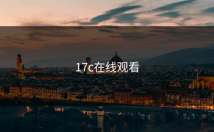 17c在线观看