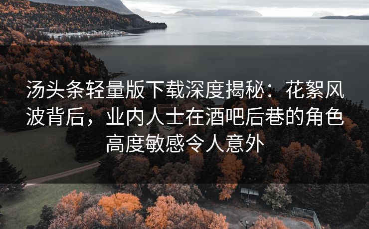 汤头条轻量版下载深度揭秘：花絮风波背后，业内人士在酒吧后巷的角色高度敏感令人意外