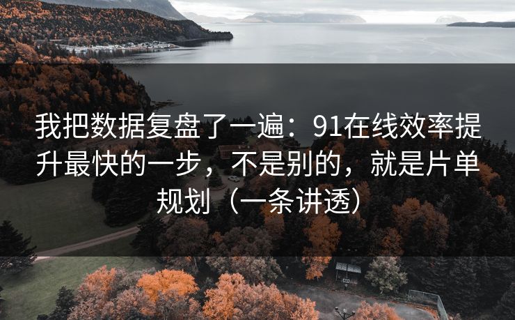 我把数据复盘了一遍:91在线效率提升最快的一步,不是别的,就是片单规划(一条讲透) 我把数据复盘了一遍:91在线效率提升最快的一步,不是别的,就是片单规划(一条讲透)