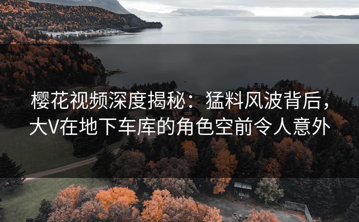 樱花视频深度揭秘：猛料风波背后，大V在地下车库的角色空前令人意外