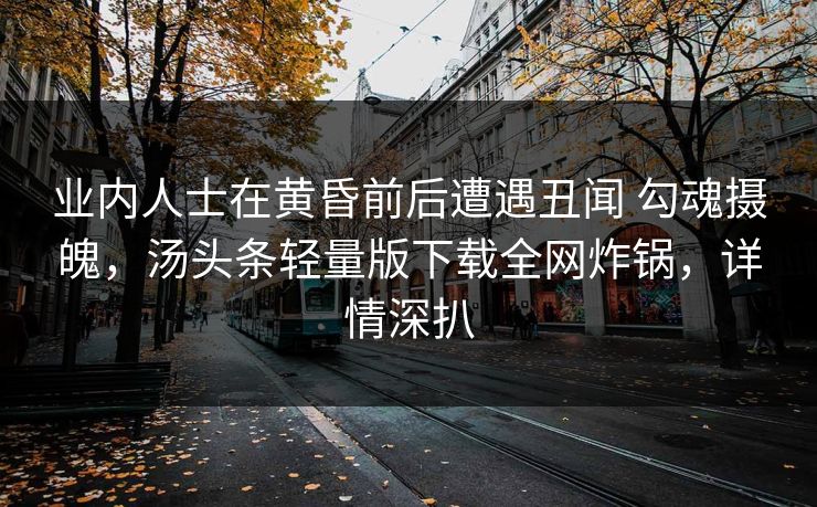 业内人士在黄昏前后遭遇丑闻 勾魂摄魄，汤头条轻量版下载全网炸锅，详情深扒